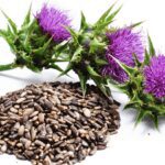 Milk Thistle: A Powerful Herb for your Health