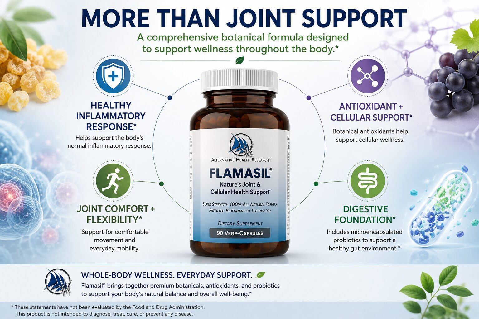 Flamasil® for Healthy Inflammatory Response & Cellular Support - Image 3
